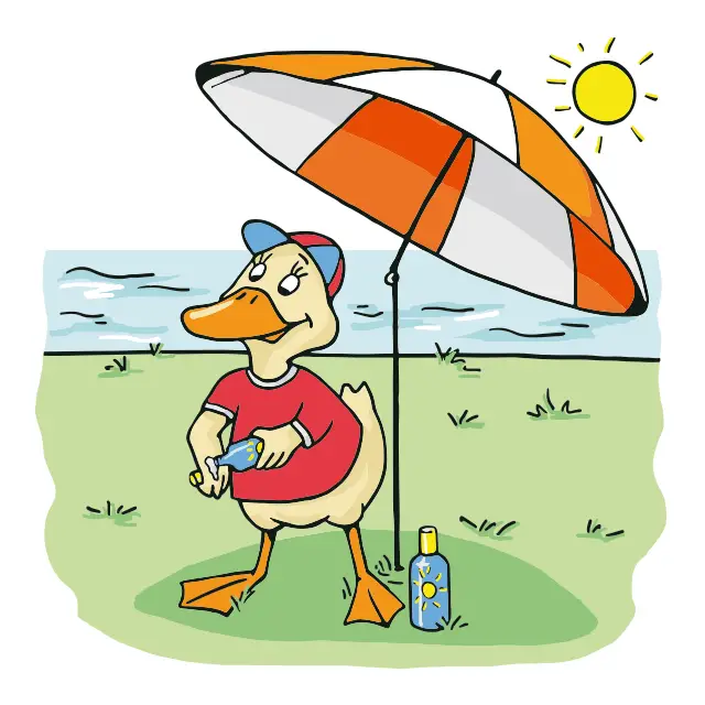 Illustration von einer Ente mit Sonnenschirm und Sonnencreme