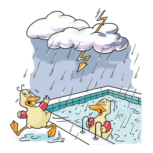 Illustration von Enten im Wasser bei Gewitter
