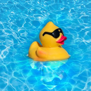 Badeente im Pool